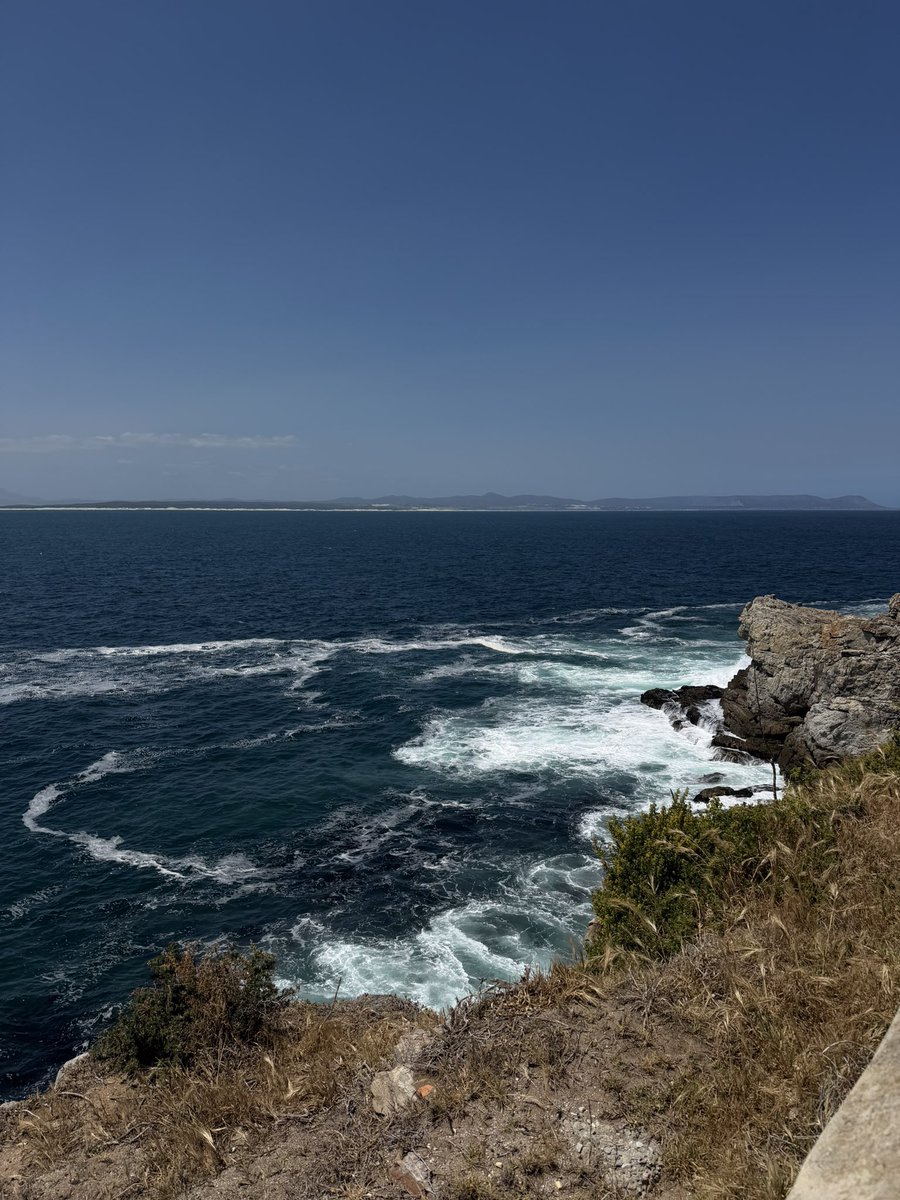 alla_falcon's tweet photo. 📍Hermanus https://t.co/B0WyhM8jIz