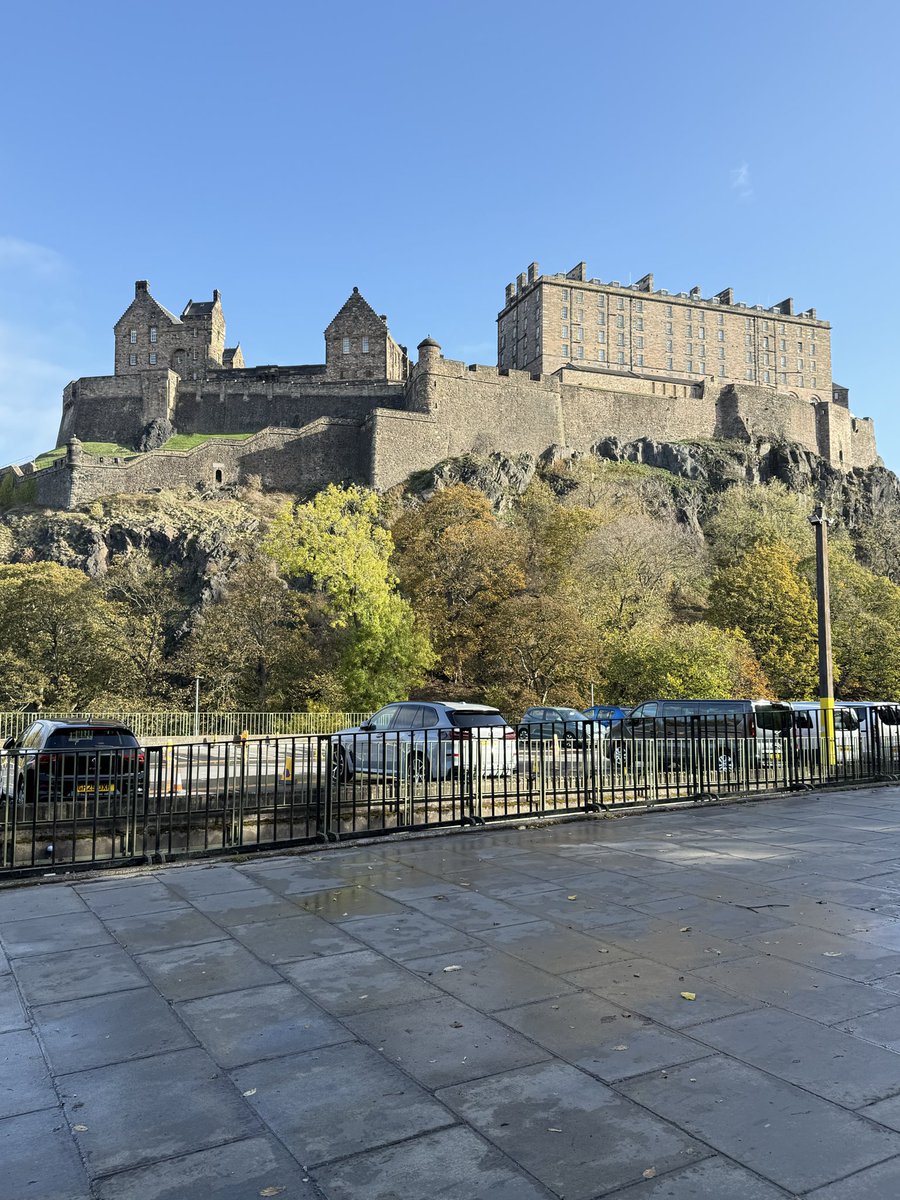 Carlos mtz-arroyo tweet media