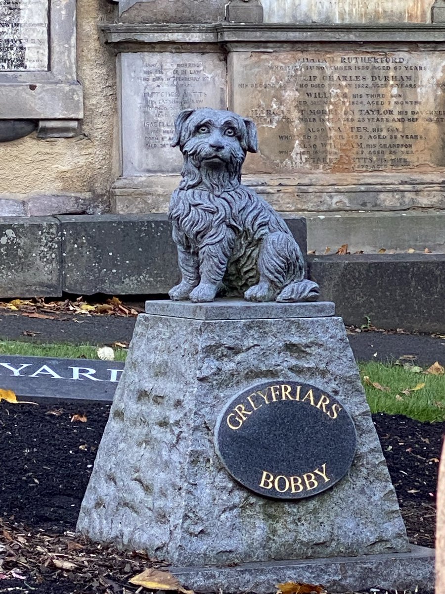 Carlos mtz-arroyo tweet media