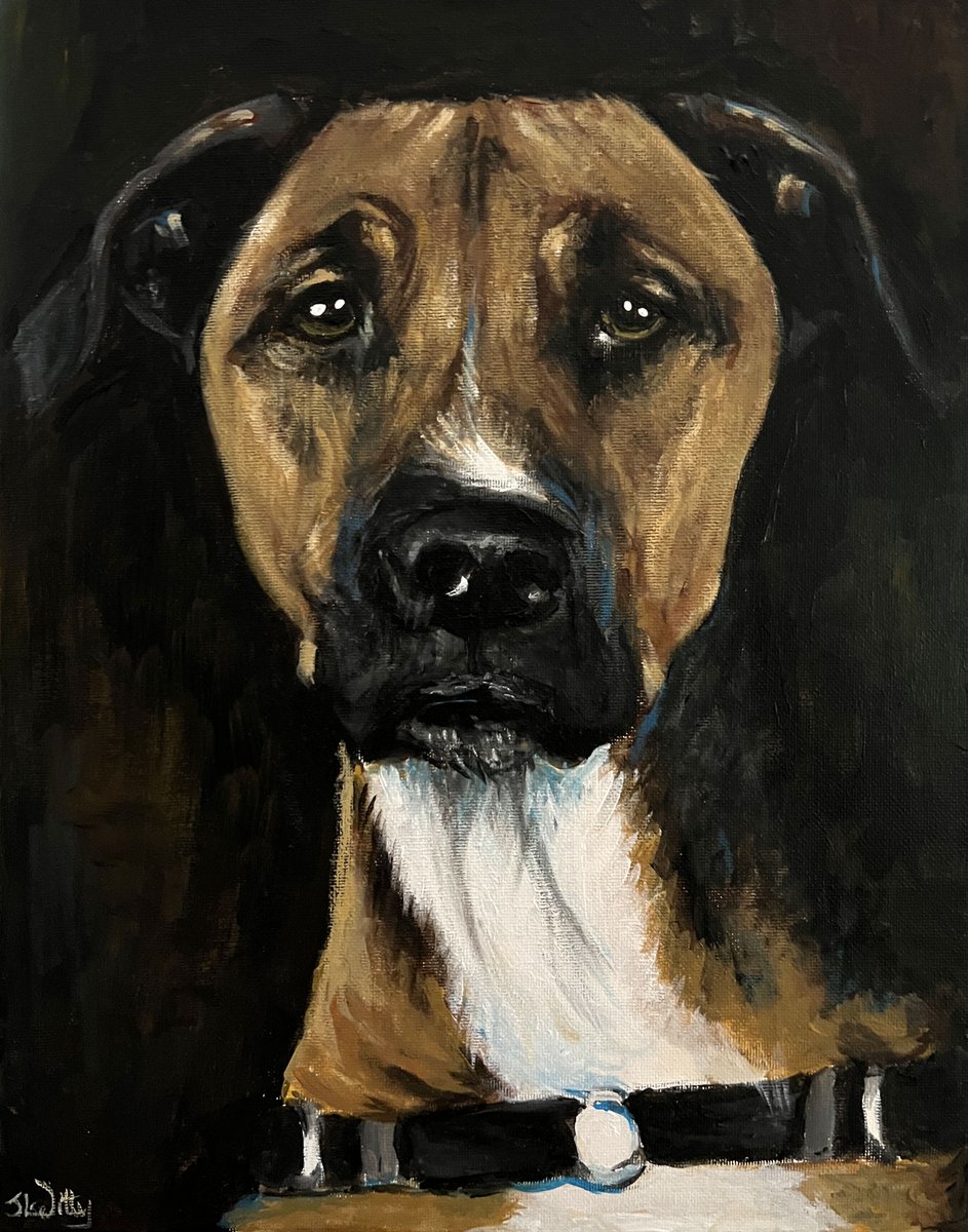 Jessica Lynne Witty tweet media