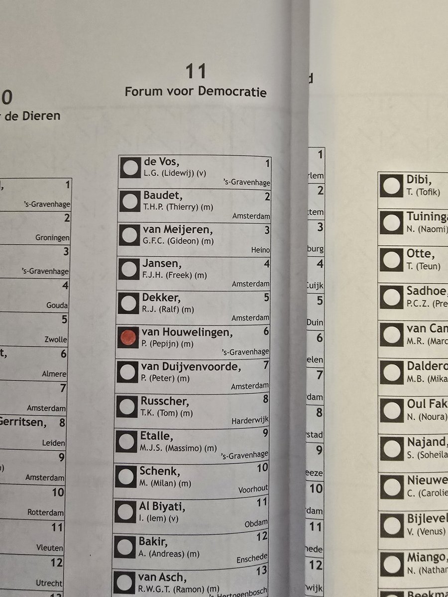 Vandaag heb ik gestemd op <a href="/PvanHouwelingen/">Pepijn van Houwelingen</a>. Who's with me?