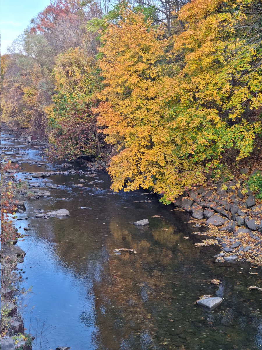 msabine900's tweet image. #Ithaca #NY #FingerLakesRegion #SixMileCreek