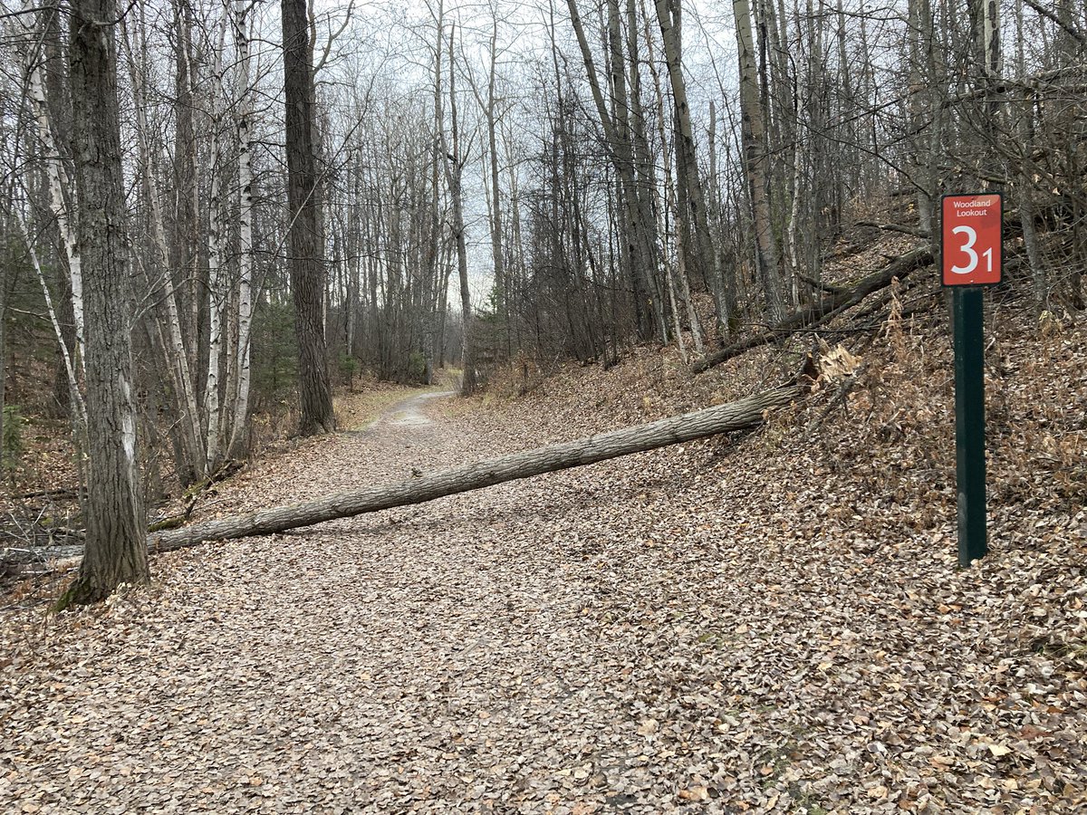 ScienceMan's tweet photo. Thank you @ParklandCounty for emptying the trail trash bins at Chickakoo! 😃 Much appreciated!

Just a heads up a large tree came down on the main trail and will need chainsaw attention. It is located at the junction of 3.1, 3.2, and 2.7. https://t.co/LA4xeQaGtm