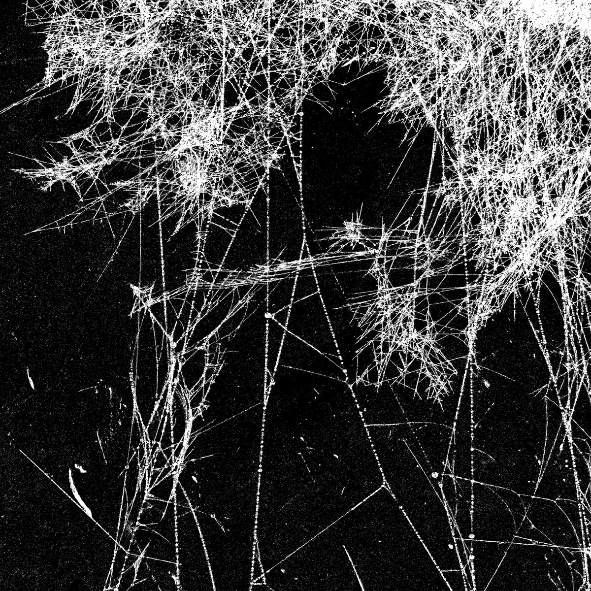 Federal Prisoner tweet media