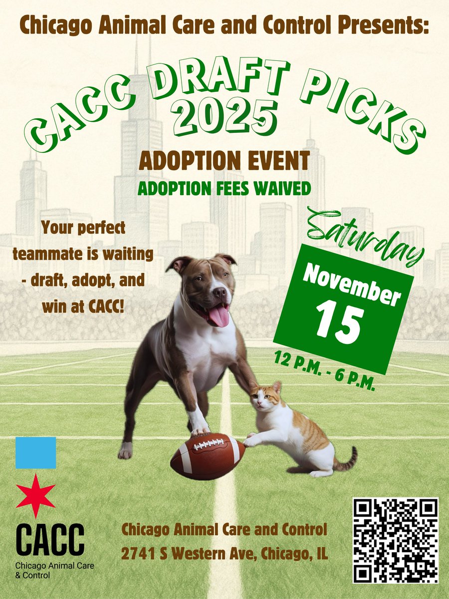 ChicagoACC's tweet image. Big news, Chicago! 🏈

CACC Draft Picks 2025 is coming Nov 15 from 12–6 pm!

Adoption fees are waived as you draft, adopt &amp;amp; win your perfect teammate at Chicago Animal Care and Control.🐶🐱

🐕 $5 city dog license applies
🐈 Cat adopters, arrive by 1 pm.

#ChicagoACC #AdoptLocal
