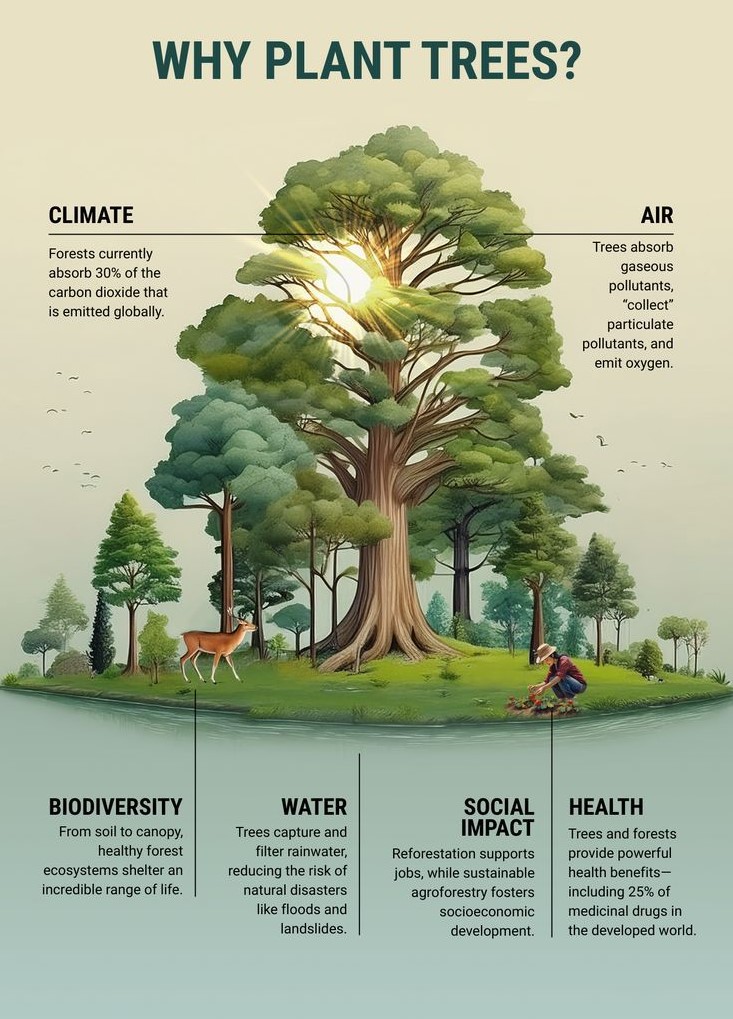 sheik5486's tweet image. This is my first post. 
#Importanceoftrees
Of course I have collected this from some ones post. 
But the importance of tree should be known to everyone. 
People nowadays drive electric car and think they save the plant. 
Only way to save our planet is by planting more trees