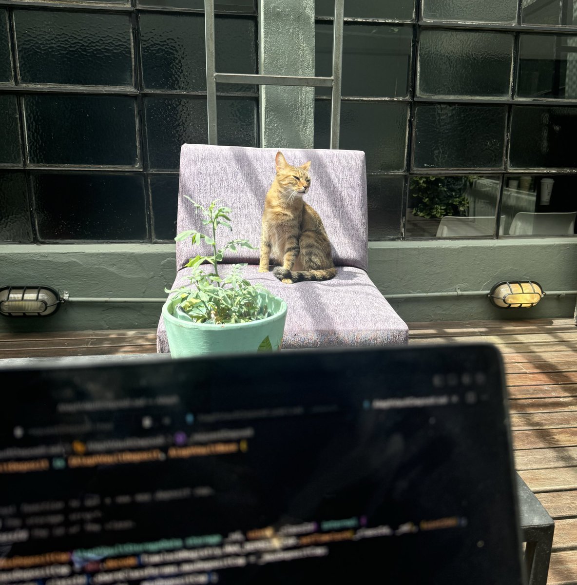 0xpanicError's tweet image. pair programming