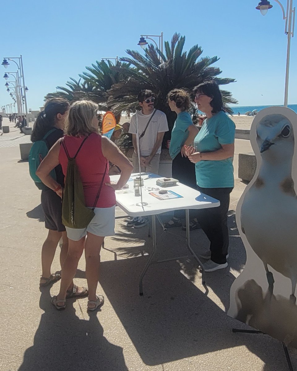 Iberalex_Poctep's tweet photo. 🌊 Cádiz se sumó al #InterregDay2025 💙

+100 personas participaron en la Playa de Camposoto 🏖️

Charlas, actividades para niños y mucho interés por el litoral y el Chorlitejo Patinegro 🐦

La cooperación también se vive en la arena 🌿🇪🇺

#IBERALEX #POCTEP #CooperationDay #Cádiz https://t.co/abRnVz8S9q