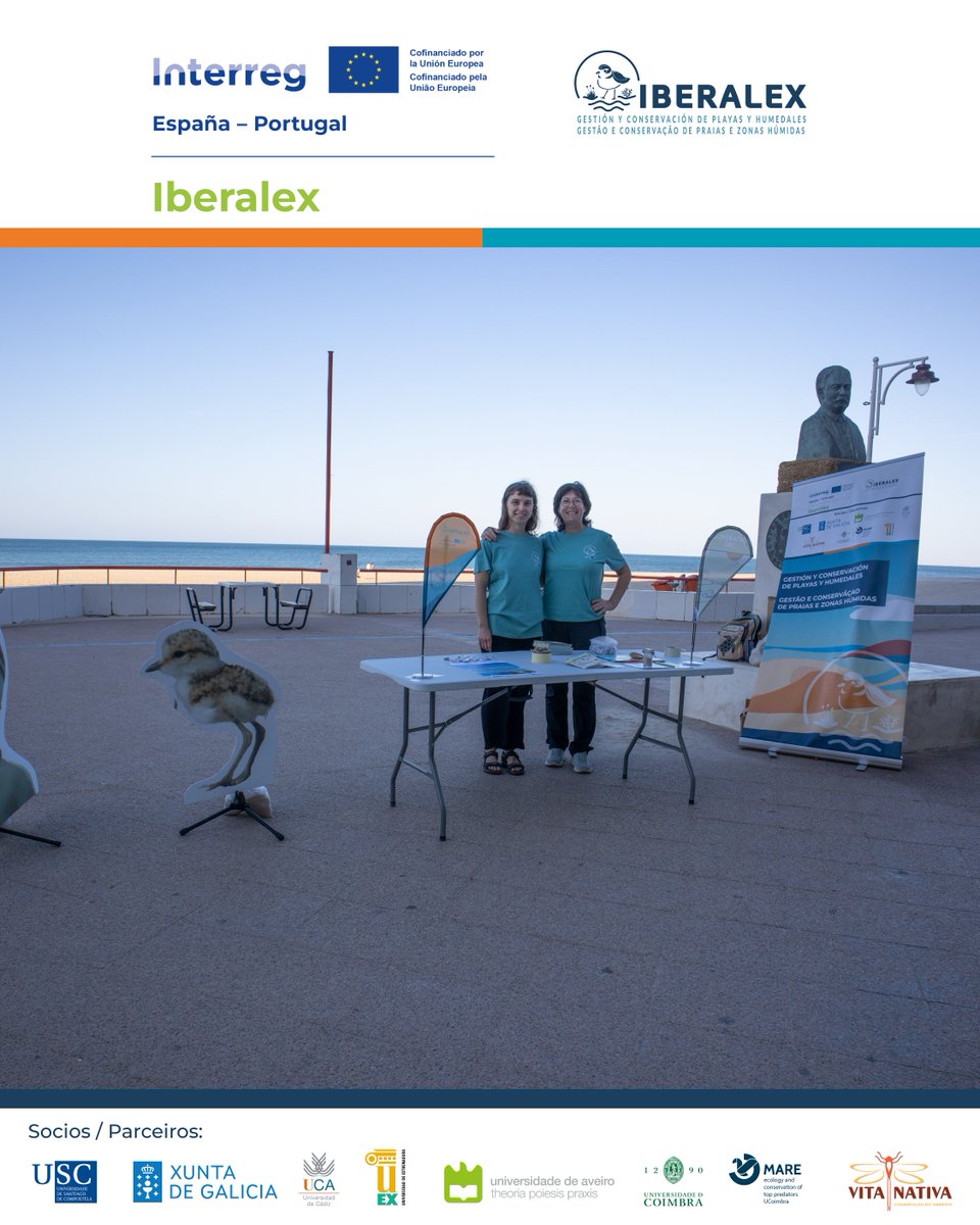 Iberalex_Poctep's tweet photo. 🌊 Cádiz se sumó al #InterregDay2025 💙

+100 personas participaron en la Playa de Camposoto 🏖️

Charlas, actividades para niños y mucho interés por el litoral y el Chorlitejo Patinegro 🐦

La cooperación también se vive en la arena 🌿🇪🇺

#IBERALEX #POCTEP #CooperationDay #Cádiz https://t.co/abRnVz8S9q