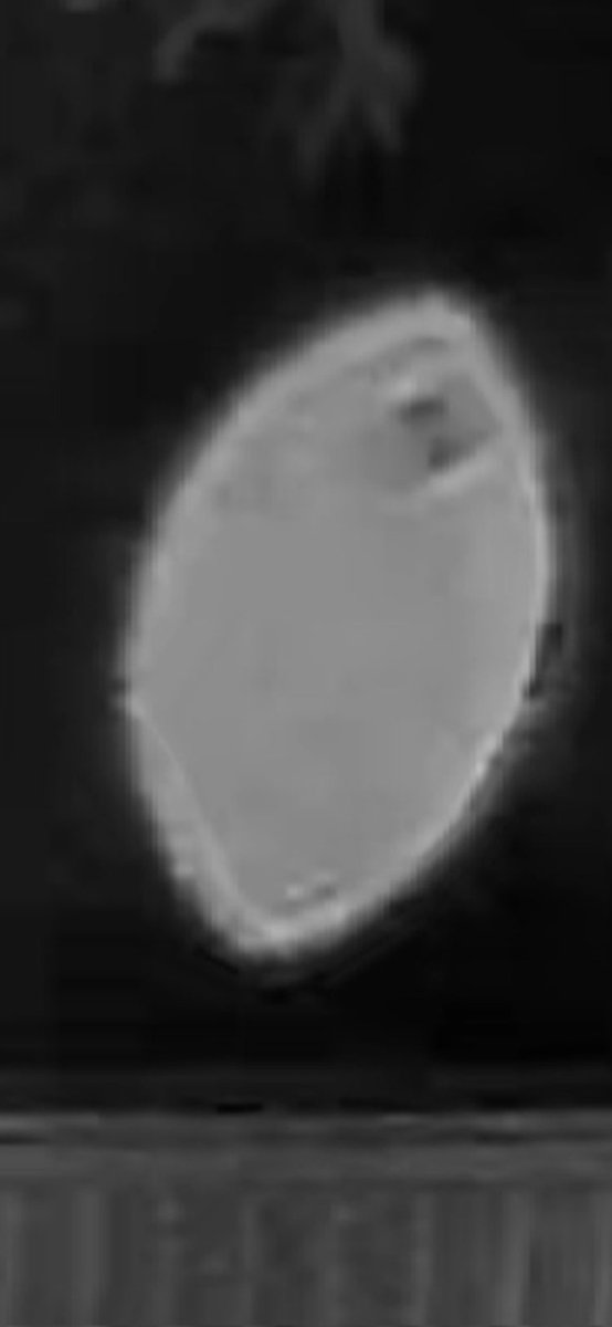 Bradj19699's tweet image. Cute 😍 doorcam photo 
Looks like someone in driving the egg
#doorcam 
#whatisit
#nhi