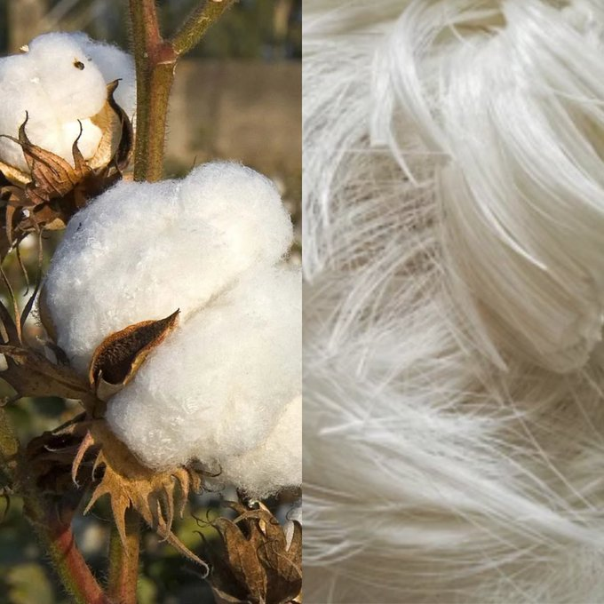 NADS_under's tweet photo. Your body has a signature frequency (~100Hz)

Wool and linen raise it (5,000 Hz)
Polyester lowers it (15Hz)

Here's how to upgrade your energy field with your wardrobe: https://t.co/v4BswawGQS