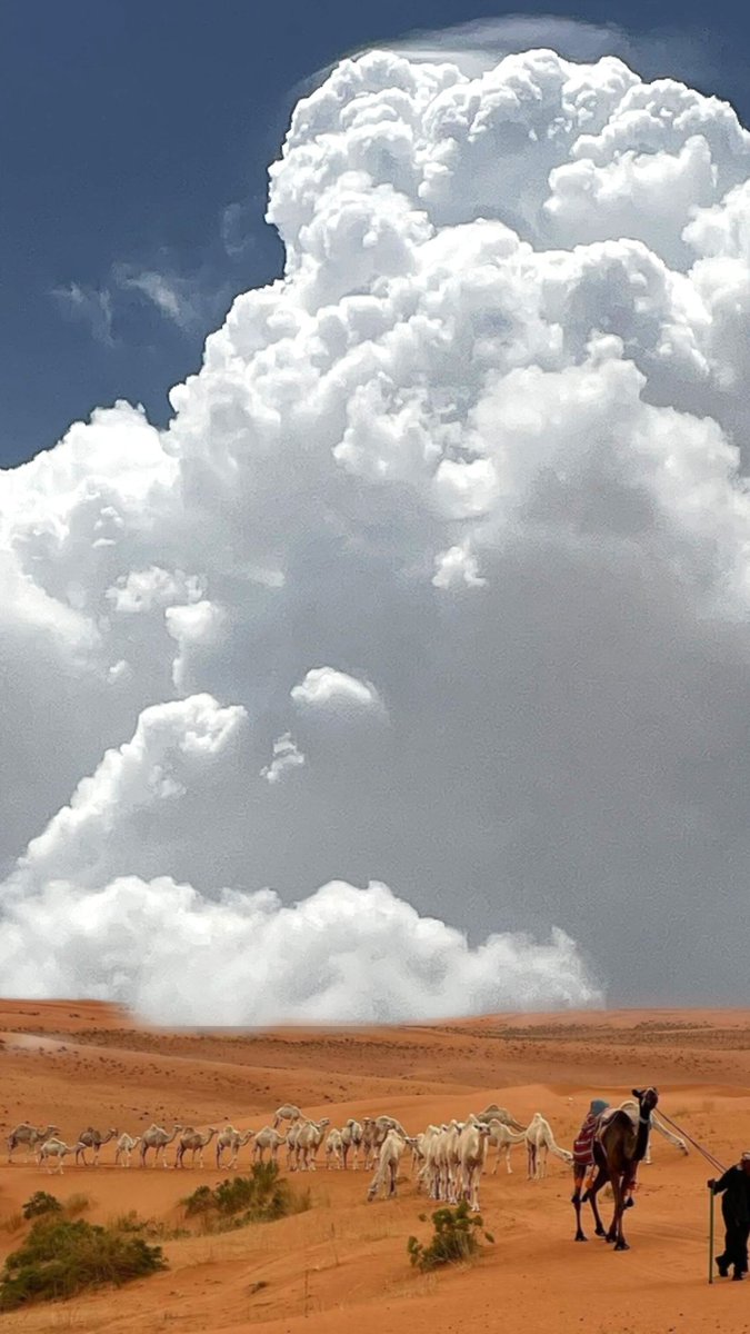 📸 منظر خيالي الركاميه على ظهر النفود يشبه مناظر السحب في اعالي المرتفعات ⛈️
▪️المشهد غير حقيقي دمج صورتين معا لتعطي هذا المنظر الجميل الذي ممكن ان نراه نفيضا ..