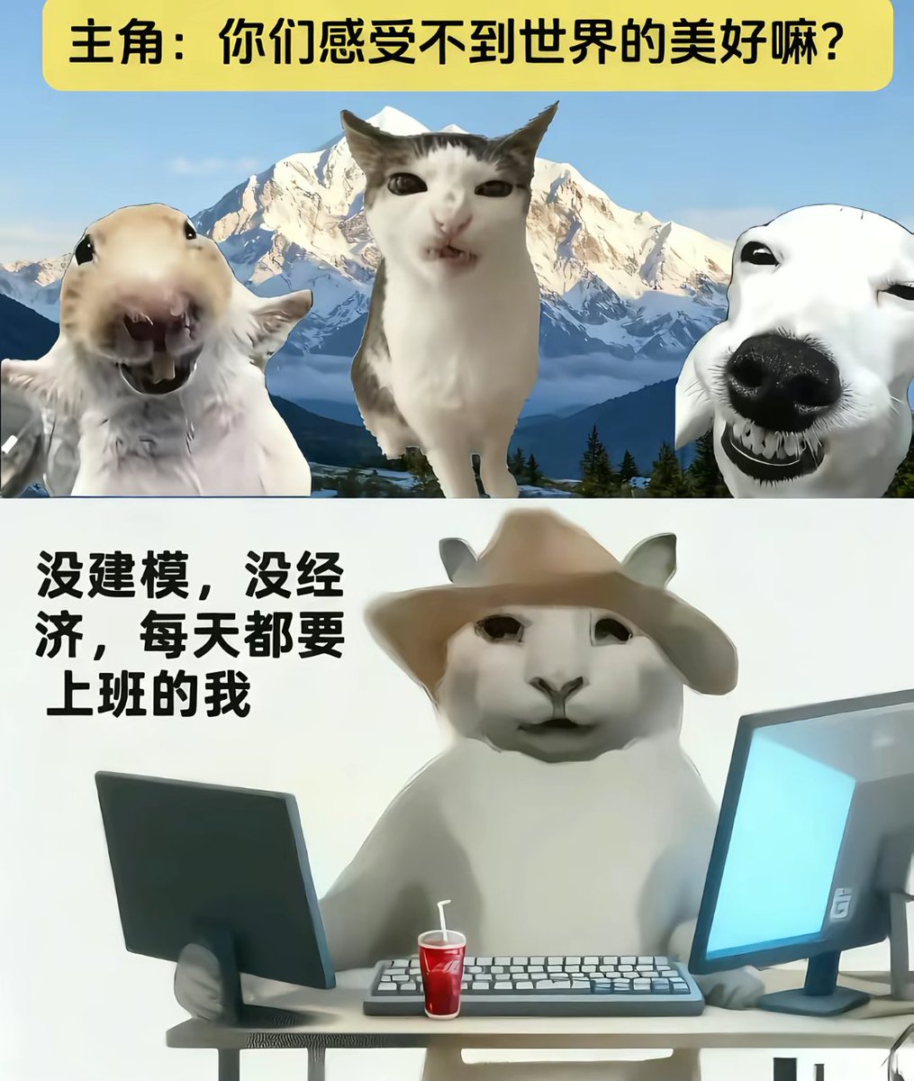 💧 (@520btcethsol) on Twitter photo 