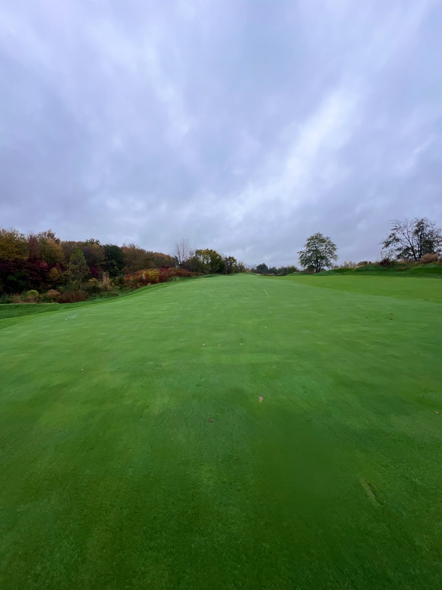 One of those days out in the links🏌🏽‍♂️☔️🌧️