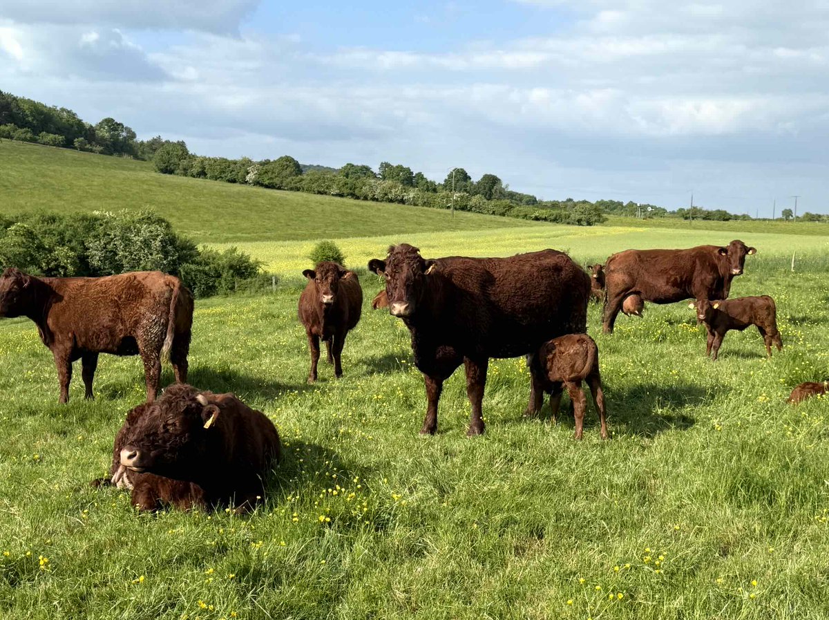 Les gagnants et les perdants de la Pac 2023-2027, à l’heure où la Commission européenne commence à poser les jalons de la Pac 2028-2034, porteuse d’une nouvelle architecture, pour ne pas dire fracture, budgétaire et réglementaire.
➡️urls.fr/qgD1q9
#Pac2028