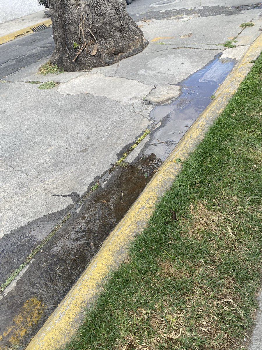 mire_olvera's tweet photo. @GobAtizapan @Pedro_RVillegas Por favor atienda da fuga de agua en Pedro de Lille en las acacias, ya llevamos 4 semanas reportando y no lo han corregido @Pedro_RVillegas https://t.co/AvKpbV6UfE