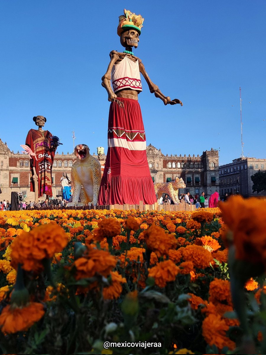 MexicoViajeraa's tweet photo. Así de bonita luce la #OfrendaMonumental de este año en el #Zócalo de la #CiudaddeMéxico. 🧡

#DiadeMuertos #Fotografia #PostalesdeMéxico #Turismo https://t.co/QkMCYNYNzw