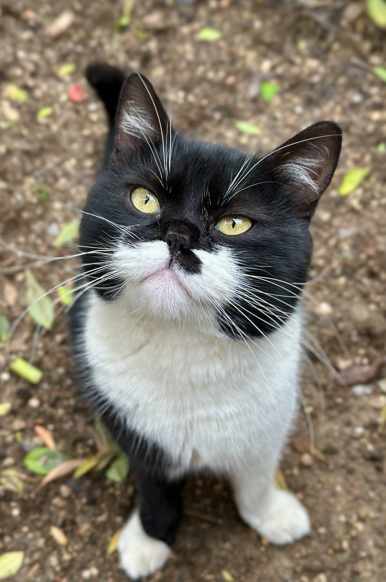 Şerbet 🐾😻

📍#TopkapıSarayı