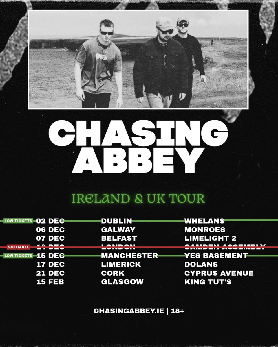 CHASING ABBEY tweet media