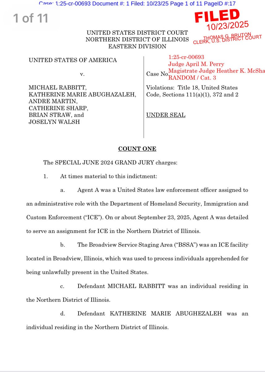 JUST IN: U.S. Congressional candidate Kat Abughazaleh among five indicted on federal charges of blocking an ICE truck during a protest at the Broadview immigration holding facility.