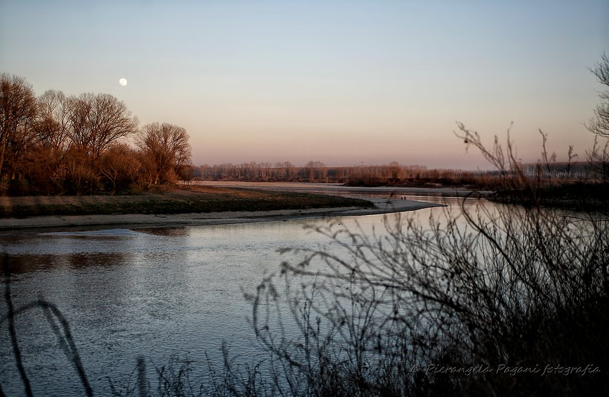 @ferrarisergio4 tweet media