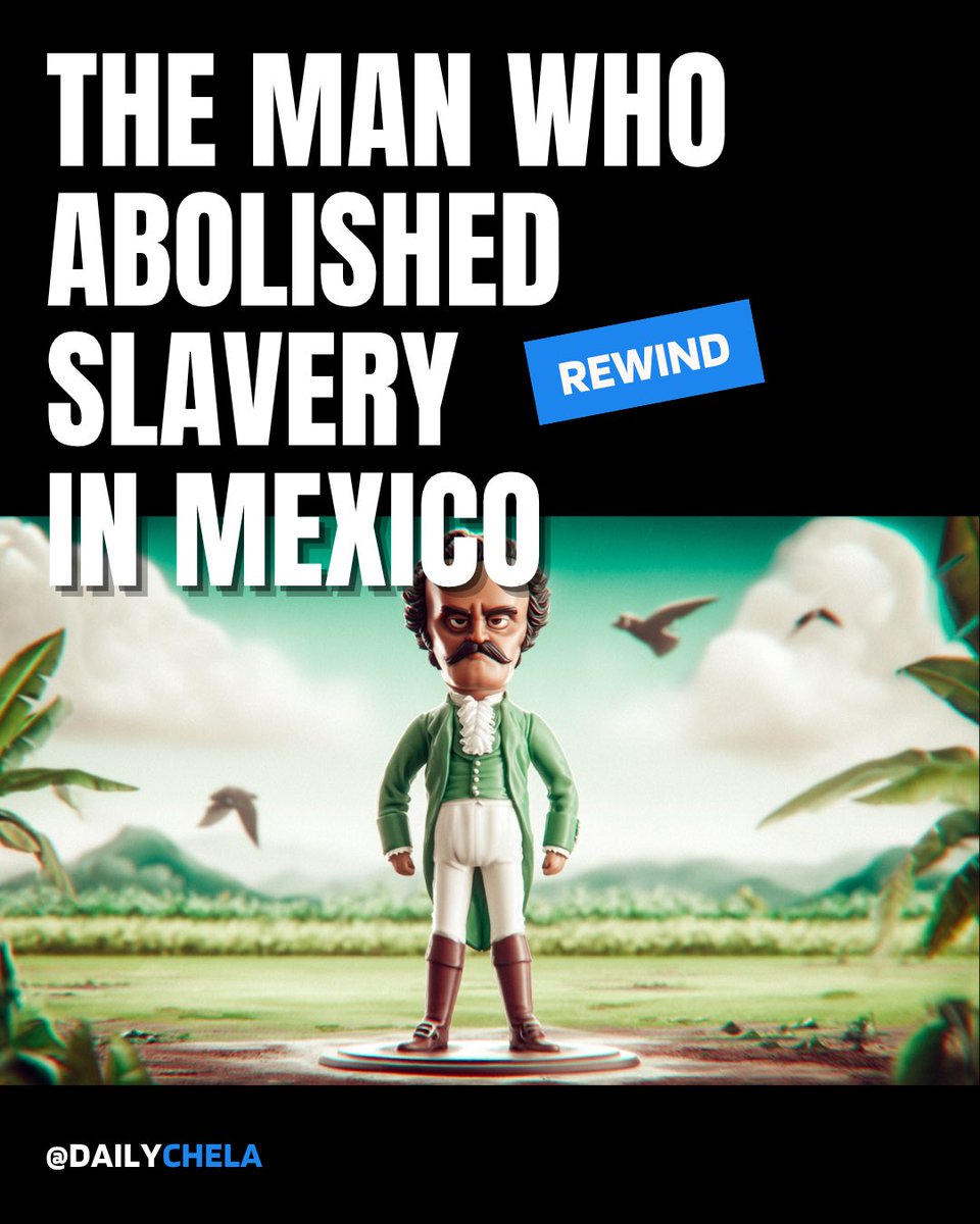 Daily Chela tweet media