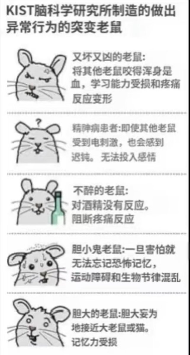 🍥真名🍥 tweet media