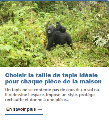 IAmSeptik0's tweet photo. Des milliers de sites d’actualités, censés nous informer…
Mais pas de panique : aucun contenu n’est généré par l’IA. 😂 
Sauf qu’en 1 minute chrono – hors liste Next INpact – j’en ai déjà déniché des milliers.
Franchement, la vitesse à laquelle ça prolifère, c’est flippant.😬 https://t.co/cNsnd5SAqV