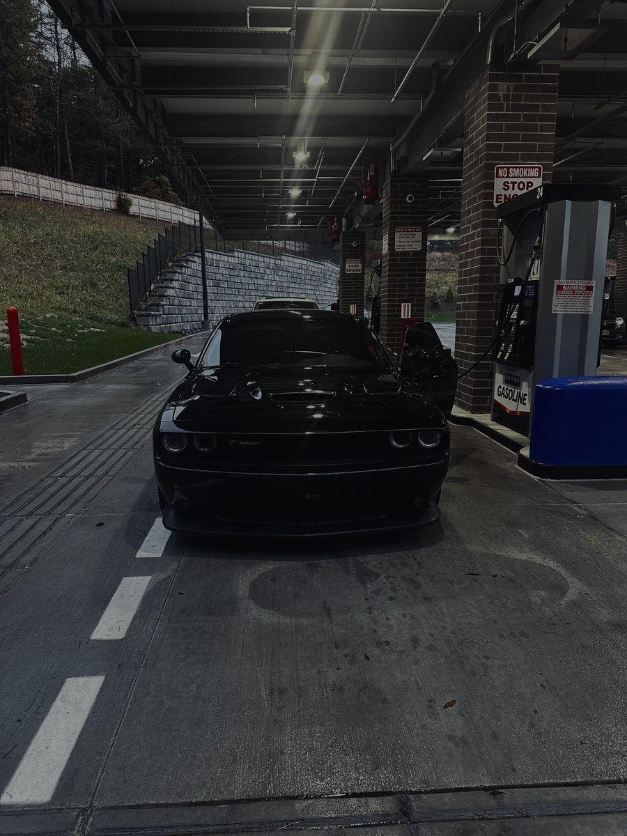 DatboyFelli's tweet image. 