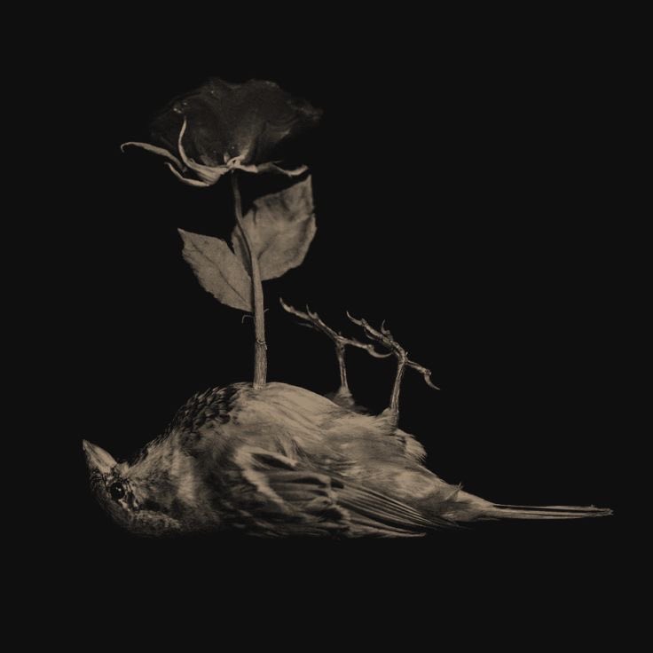 crimsonhours's tweet photo. ­                            the first among the fallen,
­                            a ruler of purgatory,
­                            a fallen angel ࿐ https://t.co/hwJwaO7K0F