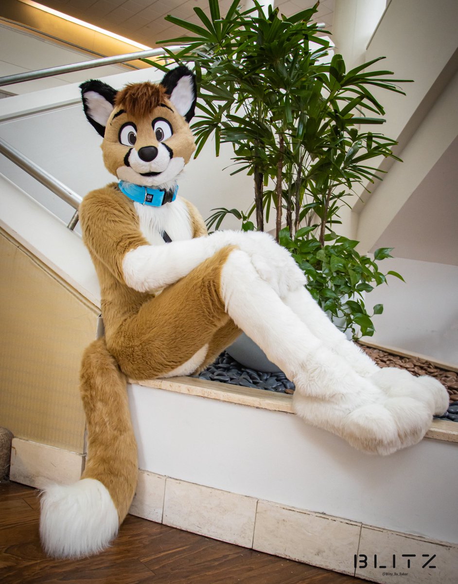 Did somebody say size difference? 👉🏼👈🏼

But real talk, I may not be the shortest but, I like to think I’m still the smallest fox boy out there! ☺️