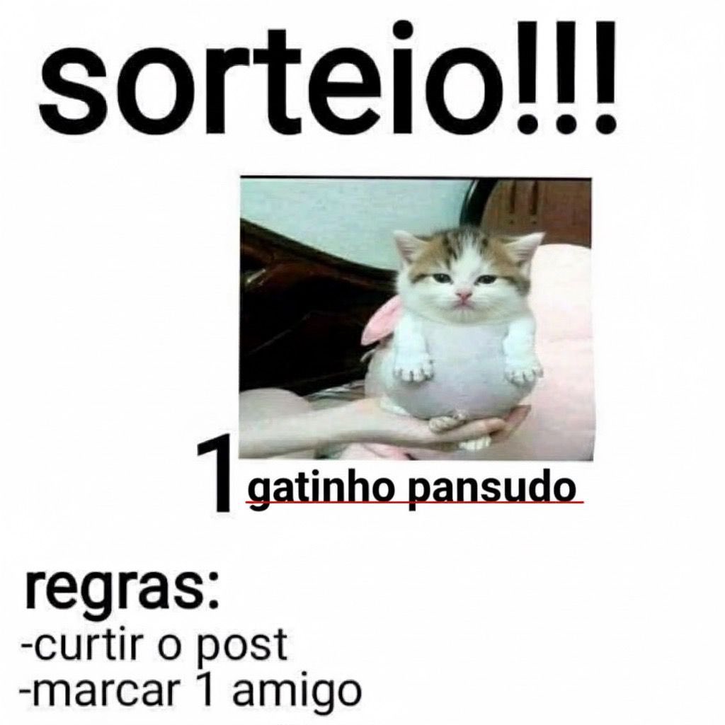 Shitpoze (@shitdopoze) on Twitter photo 