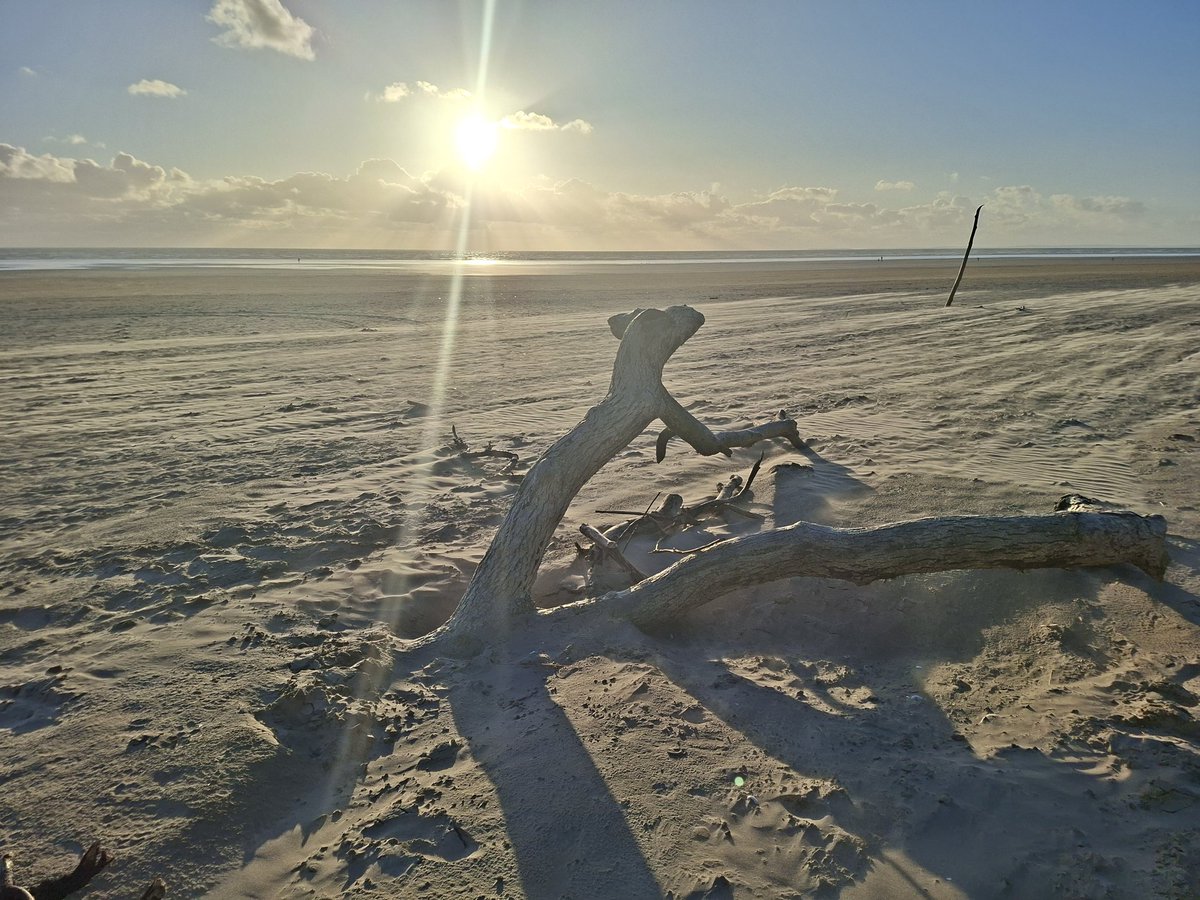 knowles_ali's tweet photo. Took a walk along Pembrey Beach #pembreycountrypark 📸🏴󠁧󠁢󠁷󠁬󠁳󠁿 https://t.co/3ZvzHoq77A