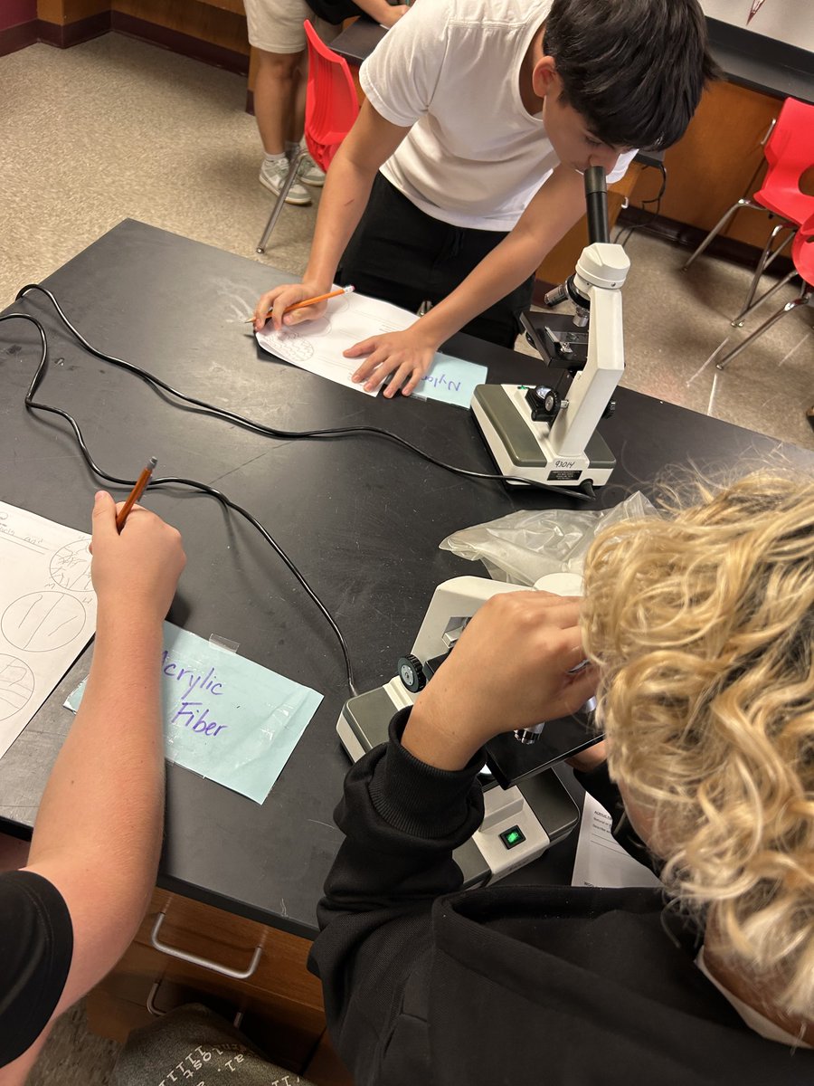 Amanda McCready tweet media