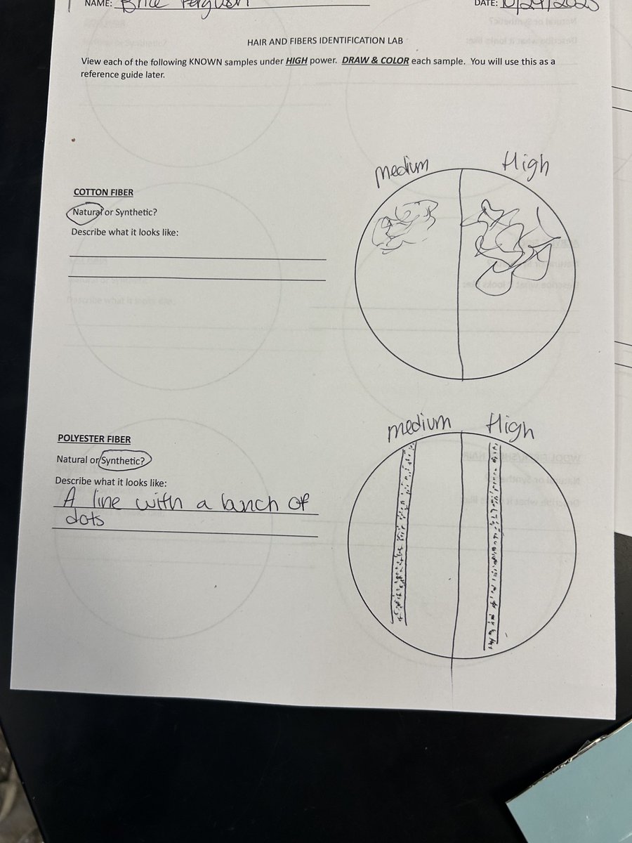 Amanda McCready tweet media