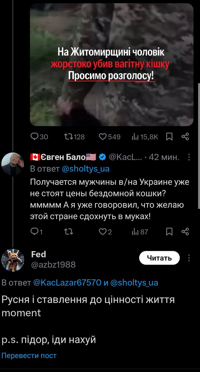 KacLazar67570's tweet photo. Не стоит жизнь мужчины в/на Украине даже цены бездомной кошки! Вкраинчики именно думают так! Есть ещё вопросы почему этот Карфаген должен быть разрушен? #упа #вкараинчики #UkraineWar #undr #NorthKorea #Україна #animals #Cat https://t.co/WYwxCc5dQx