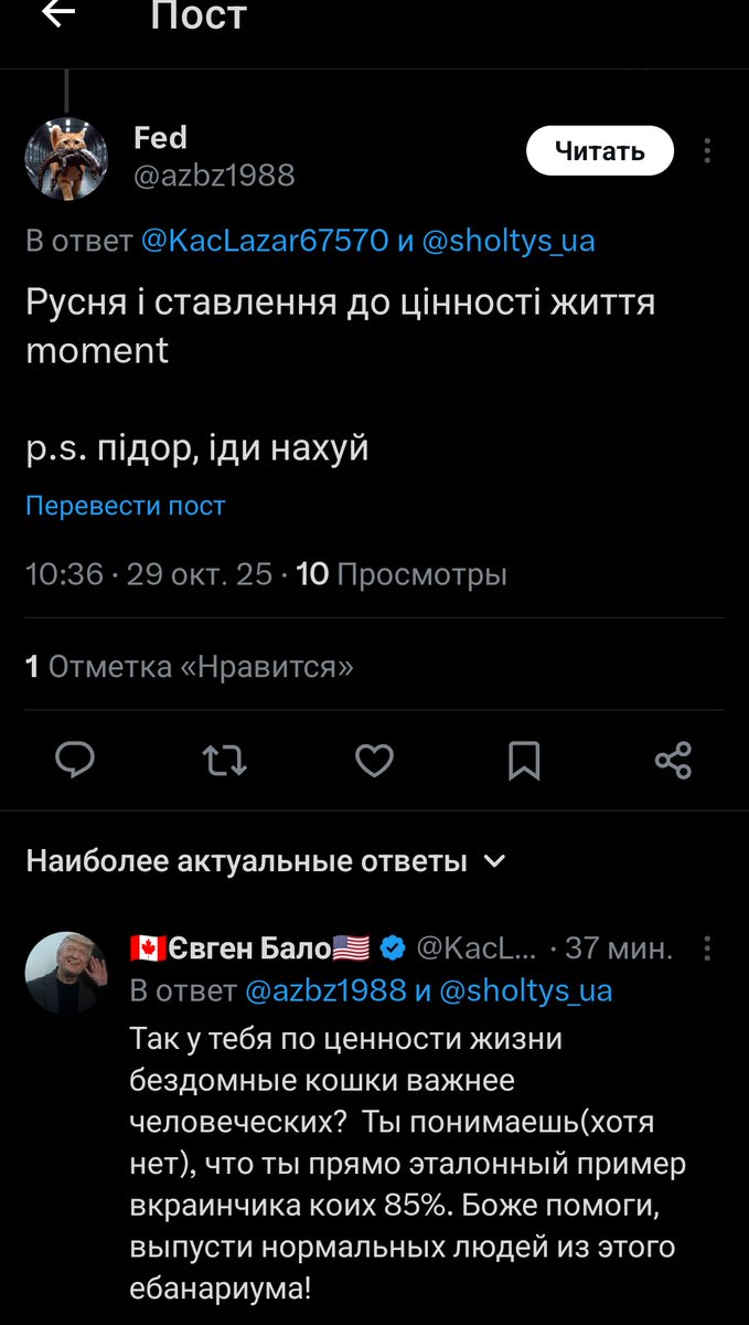 KacLazar67570's tweet photo. Не стоит жизнь мужчины в/на Украине даже цены бездомной кошки! Вкраинчики именно думают так! Есть ещё вопросы почему этот Карфаген должен быть разрушен? #упа #вкараинчики #UkraineWar #undr #NorthKorea #Україна #animals #Cat https://t.co/WYwxCc5dQx