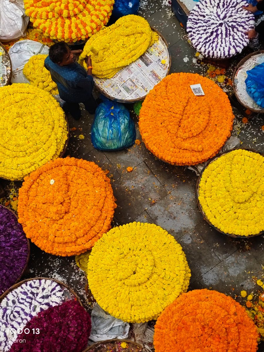 _CodeWizard's tweet image. #ShotOniQOO13