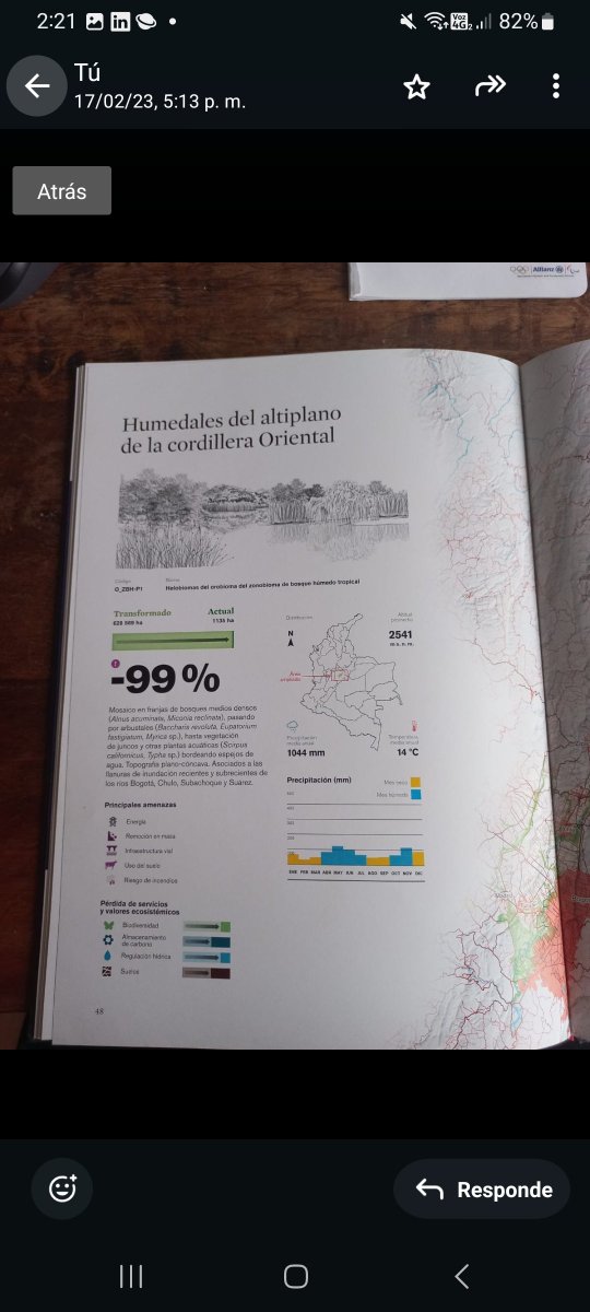 GIAndradeP's tweet photo. El río y su plano de inundación debidamente manejado. Es biodiversidad y adaptación climática. Revertir el déficit de 99% de humedales en la región. Plan de reconstrucción ecológica del río. @inst_humboldt @fhumedales @humedalesbogota https://t.co/LwmUTUbCAg