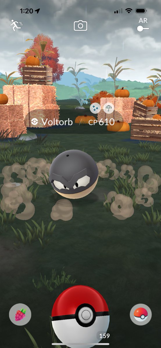 CmagsPOKE's tweet photo. Haven't even seen this shiny yet! Daughter clicked it and we got so excited 😁 #shiny #shinyvoltorb https://t.co/A7rB0gHMN8