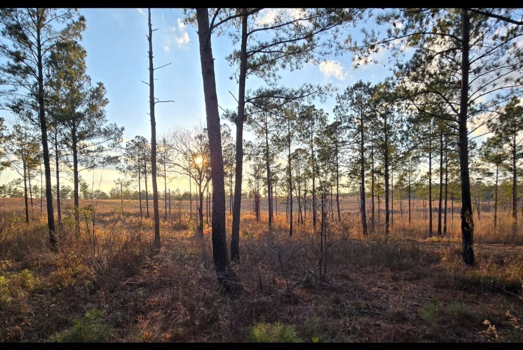 Jeff Warne tweet media