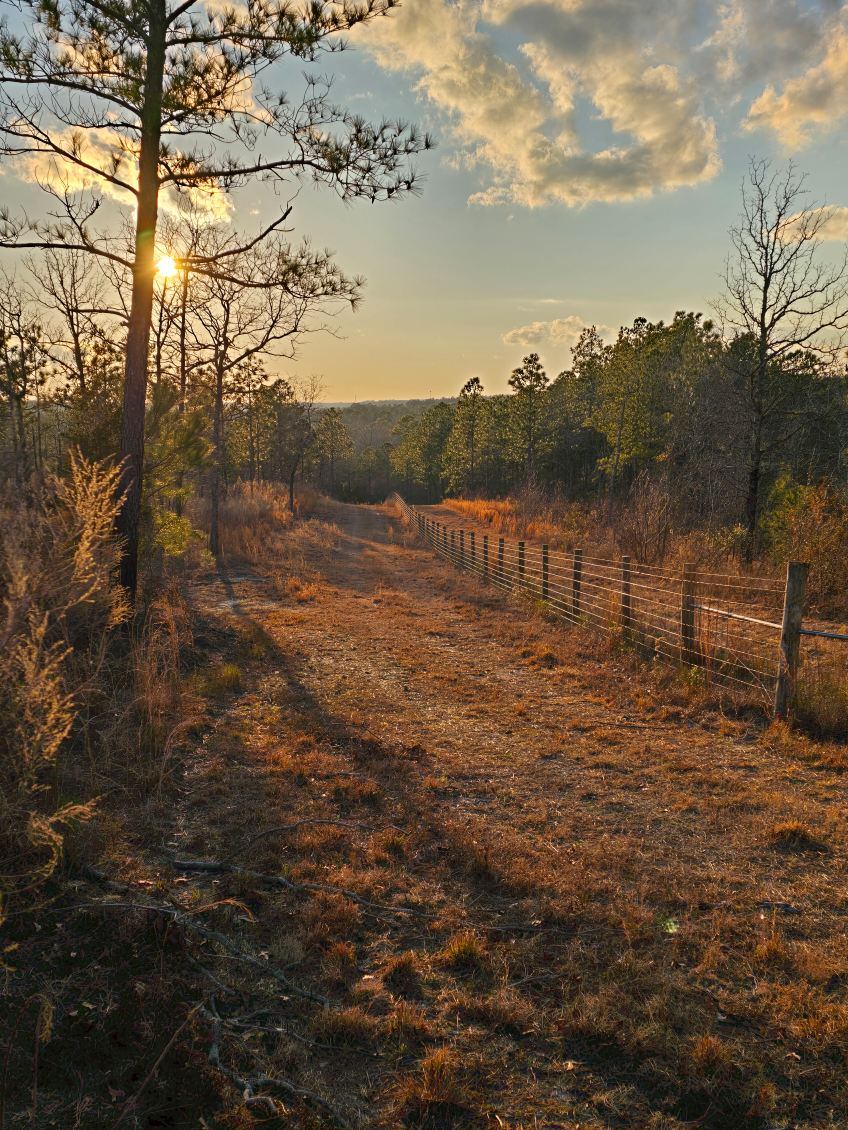New Holland Golf Club, Aiken County, SC. 
Brian Schneider Golf Course Architect <a href="/bschneider126/">Brian Schneider</a>
 Kyle Harris Project Manager <a href="/SirPuttsalot/">Kyle Harris</a>
Join us on the journey.
Message me with your interest and email for more information.
