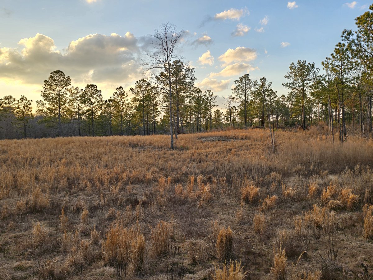 Jeff Warne tweet media