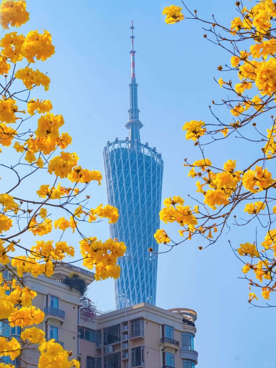 今天聊一个底层逻辑的话题“富人最大的资产不是钱、穷人才是富人最大的资产”当我们理解了这个逻辑、就明白了如何成为富人！