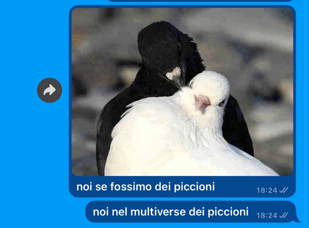 “chissà che cose zozze scrivi al tuo ragazzo…”
io al mio ragazzo: