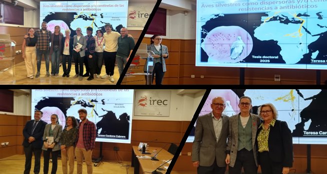 Birdpath Patología Aviar tweet media