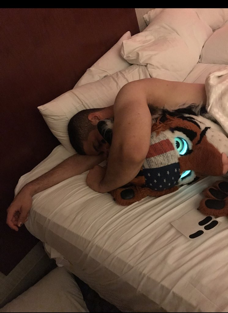 Got this great candid shot of a furry who slept over at anthrocon . Ever just pass out in your fursuit ?