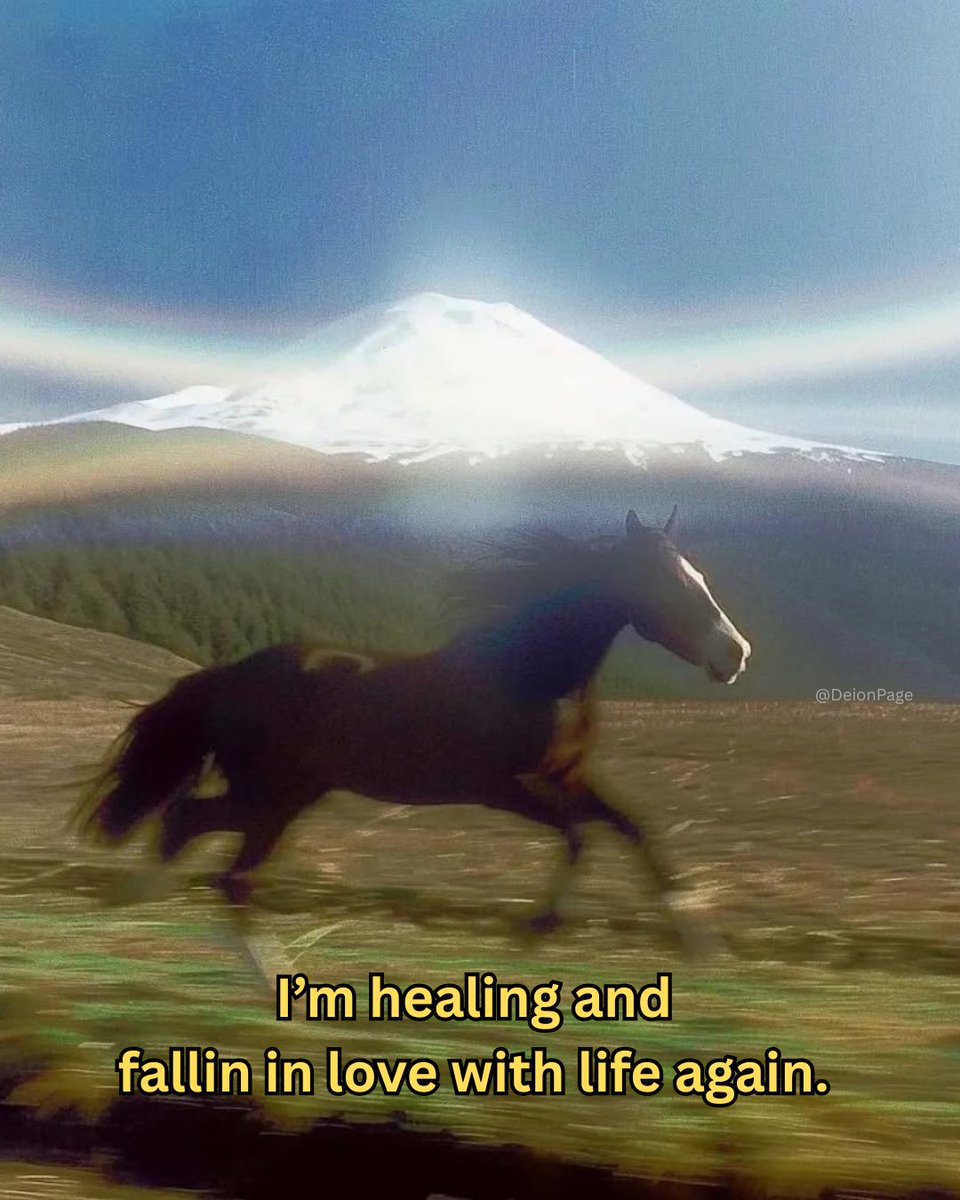 Deion 𓋹 (@calmdeion) on Twitter photo 