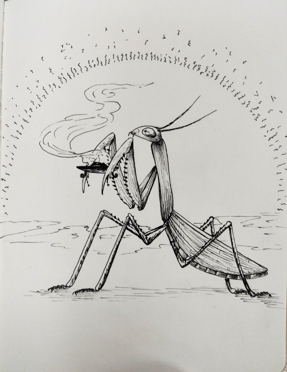 Ritual at dusk 

#inktober #inktober2025 #Inktober_ИвовыйЛес