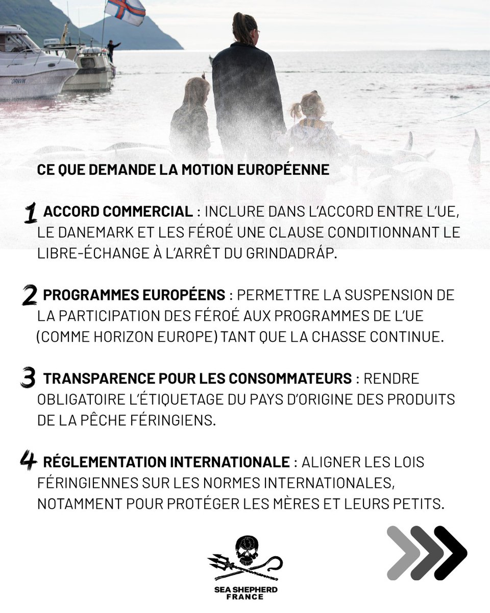 SeaShepherdFran's tweet photo. Massacres de dauphins aux îles Féroé : agissons ensemble ! 

Le Parlement européen vient d’examiner la motion B10-0404/2025 qui porte sur la situation dramatique de la chasse aux baleines et aux dauphins dans les îles Féroé.

Cette pratique cruelle continue malgré l’indignation internationale et les appels à protection. 

Partagez ce message ! Plus nous sommes nombreux à parler, plus la pression monte!

Écrivez à vos eurodéputés français et demandez-leur de soutenir toute législation future visant à interdire définitivement la chasse aux cétacés dans les territoires européens et associés: E-mails | Projet Arcadie Data